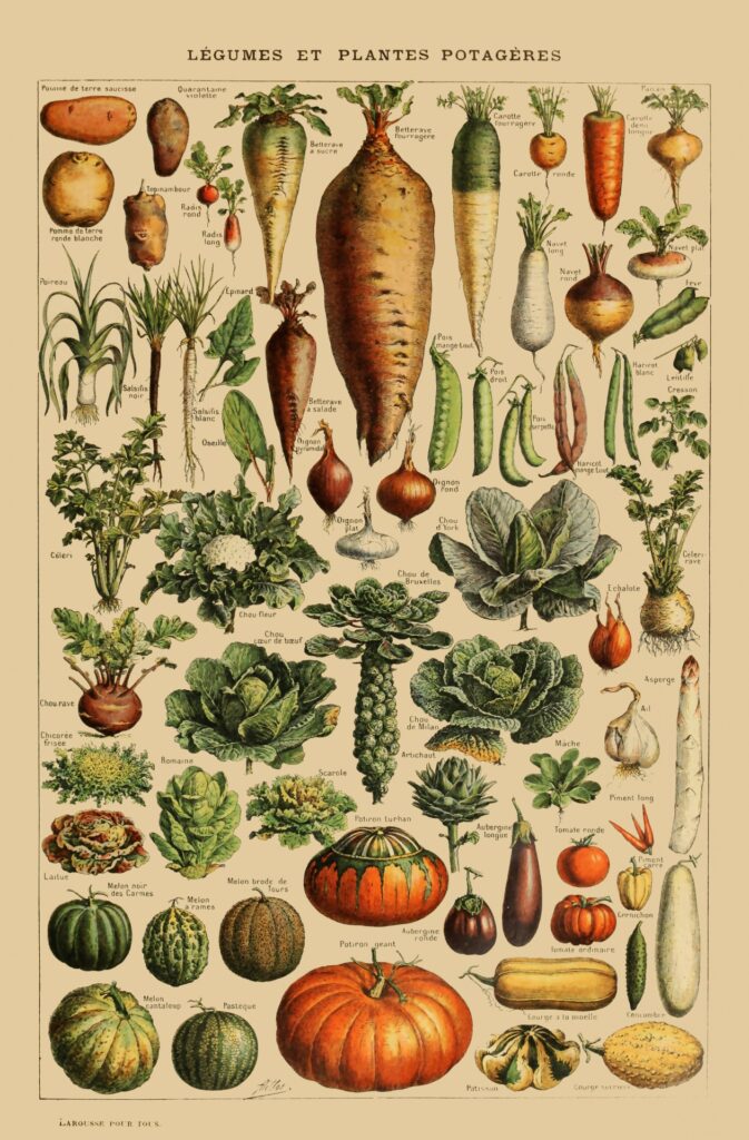 Garden Potager Vintage Poster